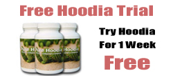 Hoodia Samples 