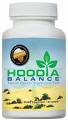 Hoodia Balance Review